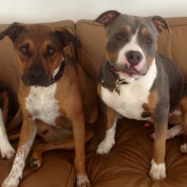 Couch Surfers