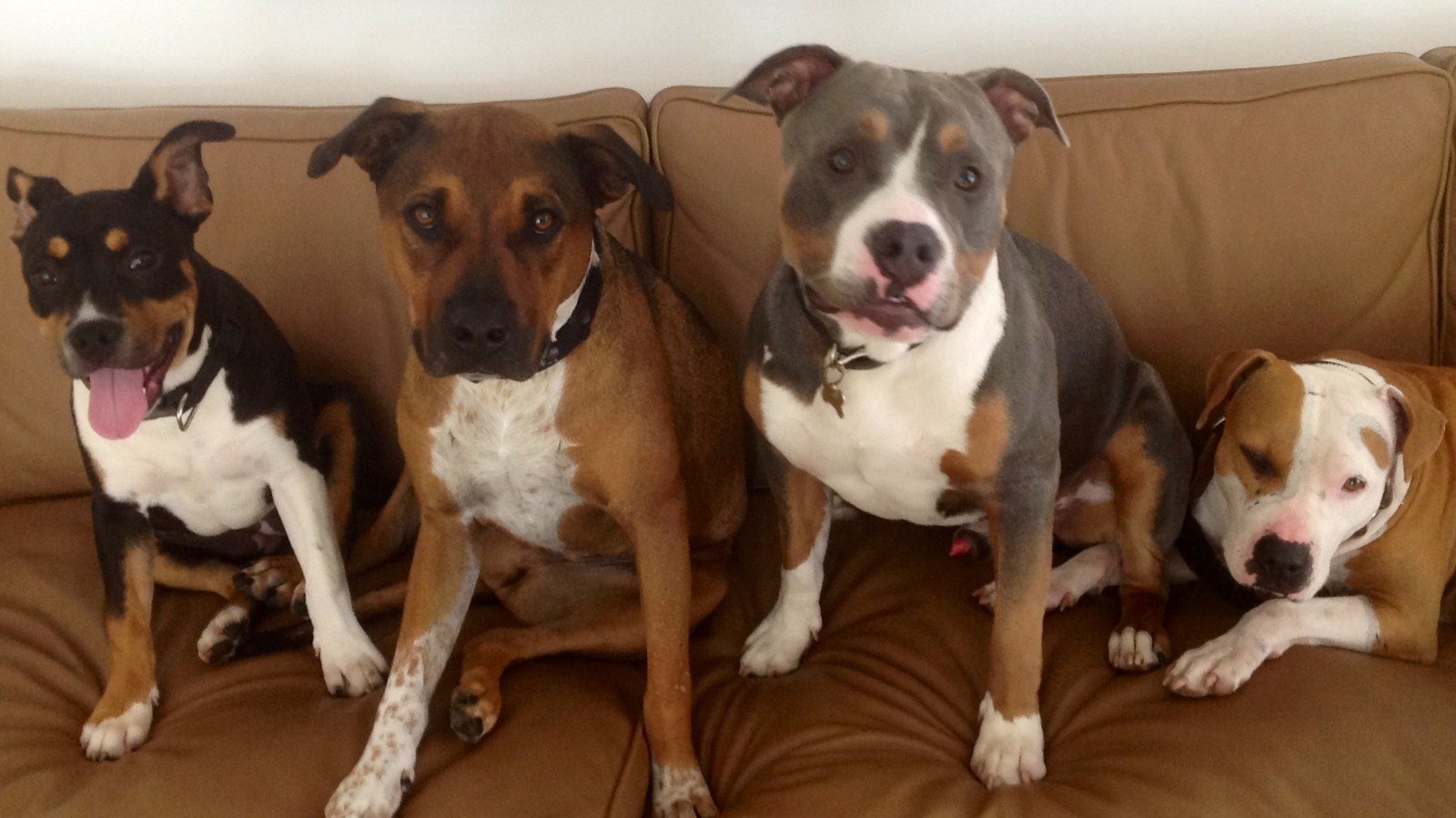 Couch Surfers