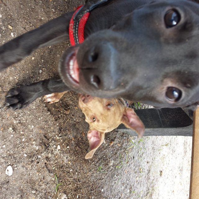 Photo Bomb!!!!! LOL!