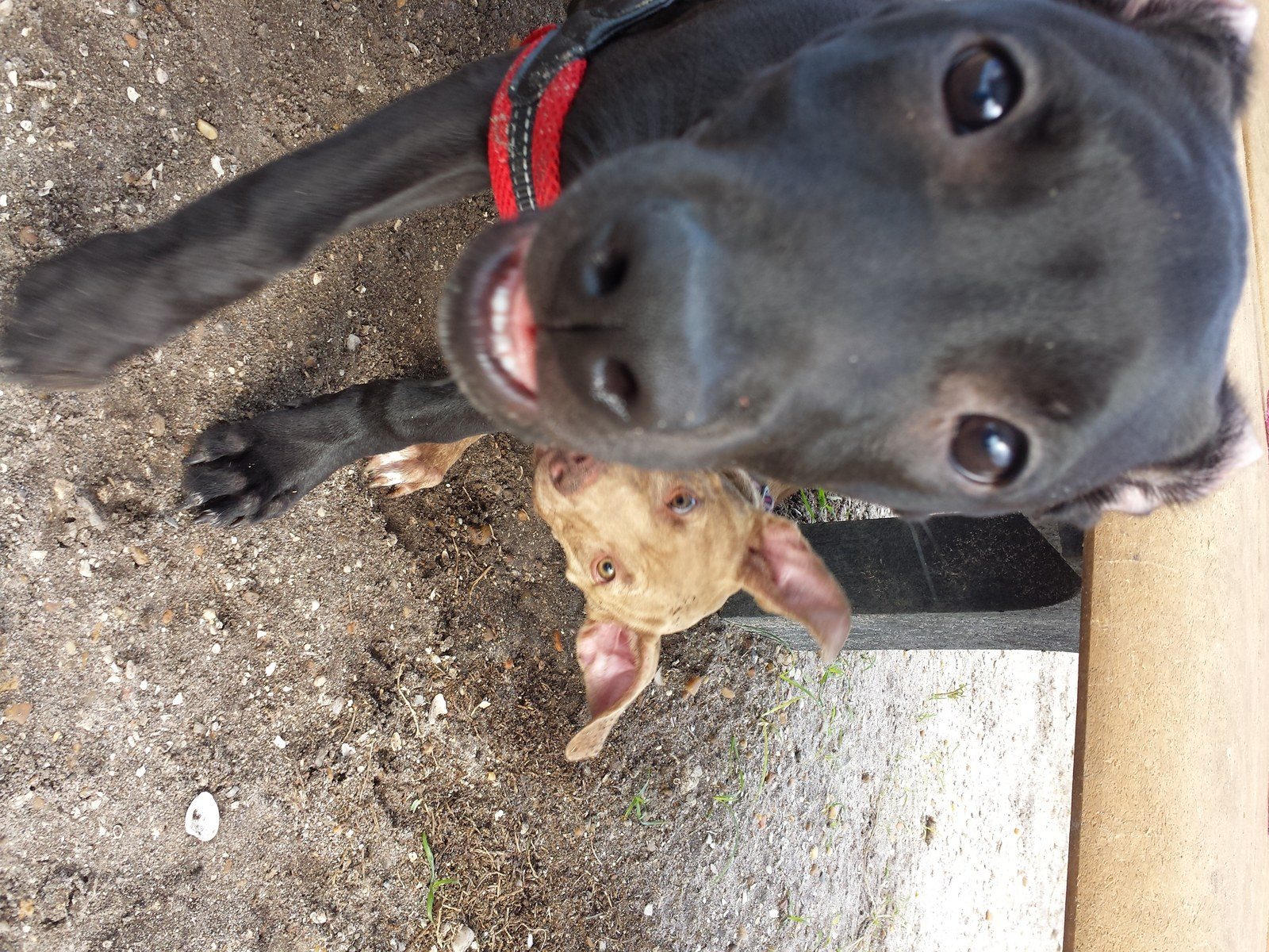 Photo Bomb!!!!! LOL!