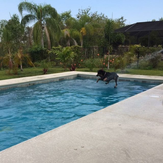 Walking In Water