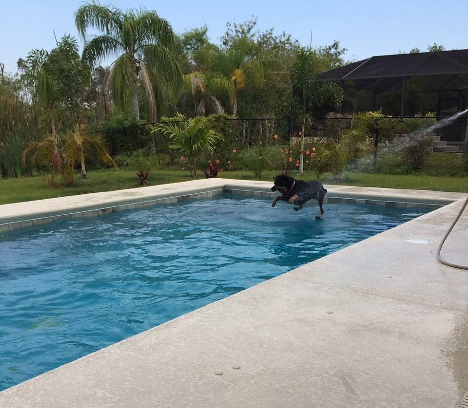 Walking In Water
