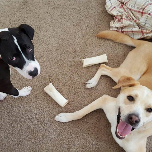 Best Friends