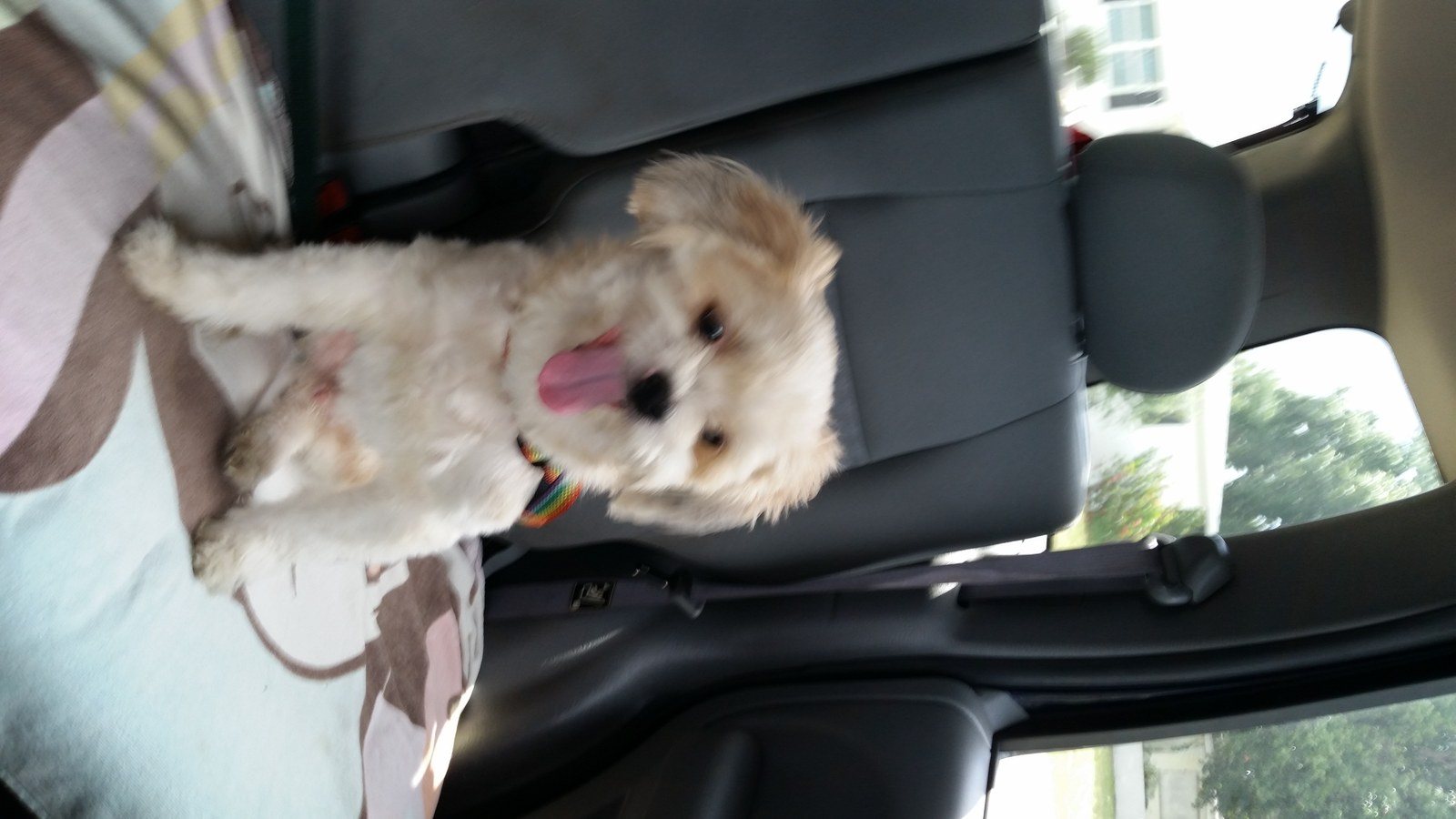Road Trip