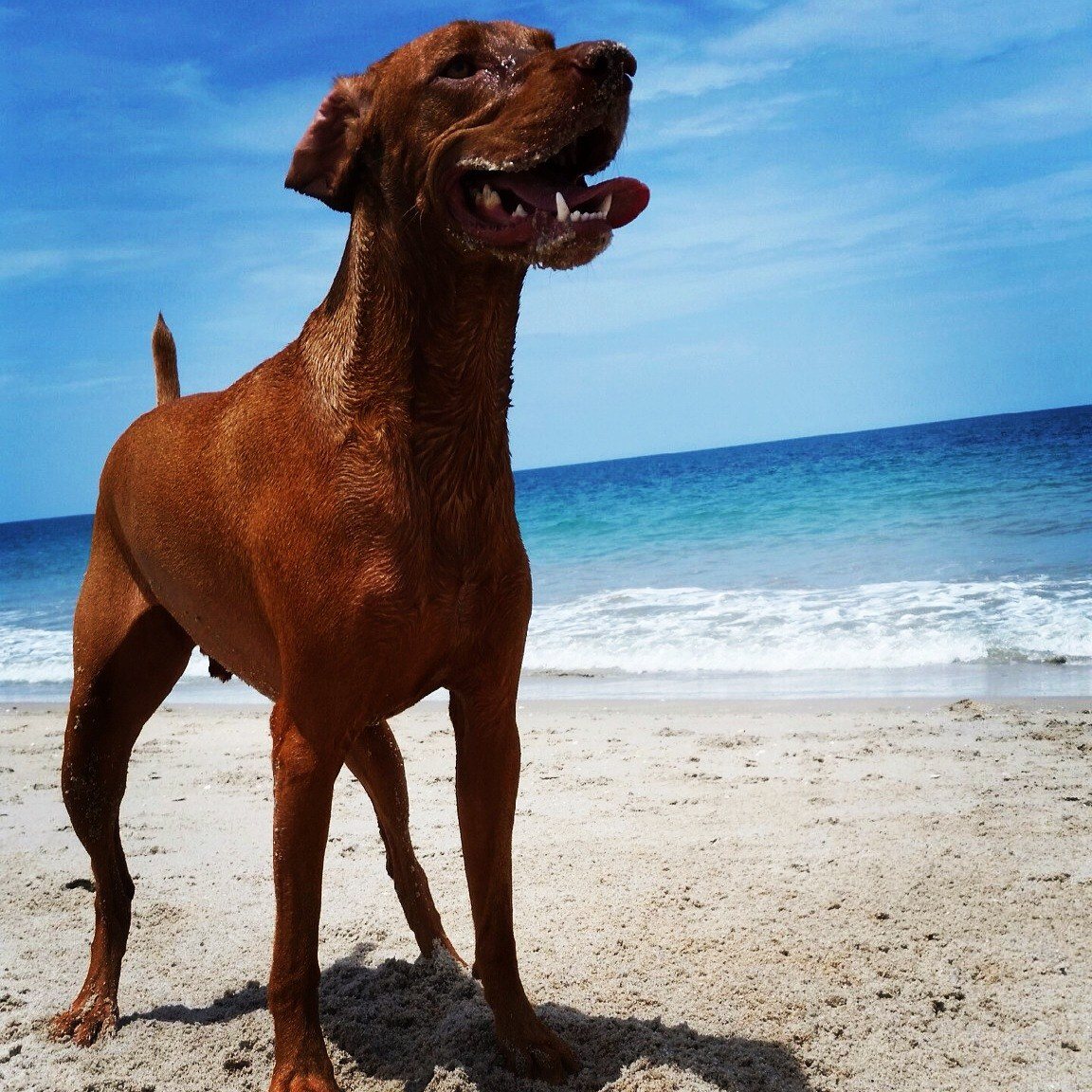 Florida Beach Bum