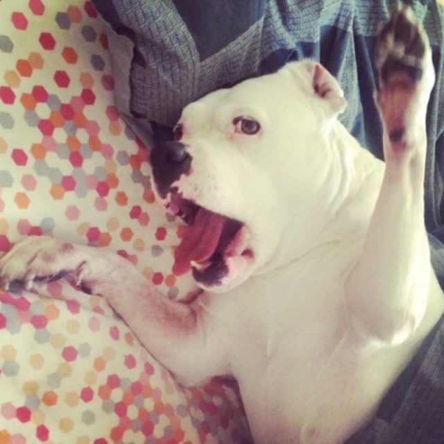 Morning Stretch