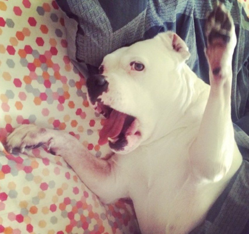 Morning Stretch