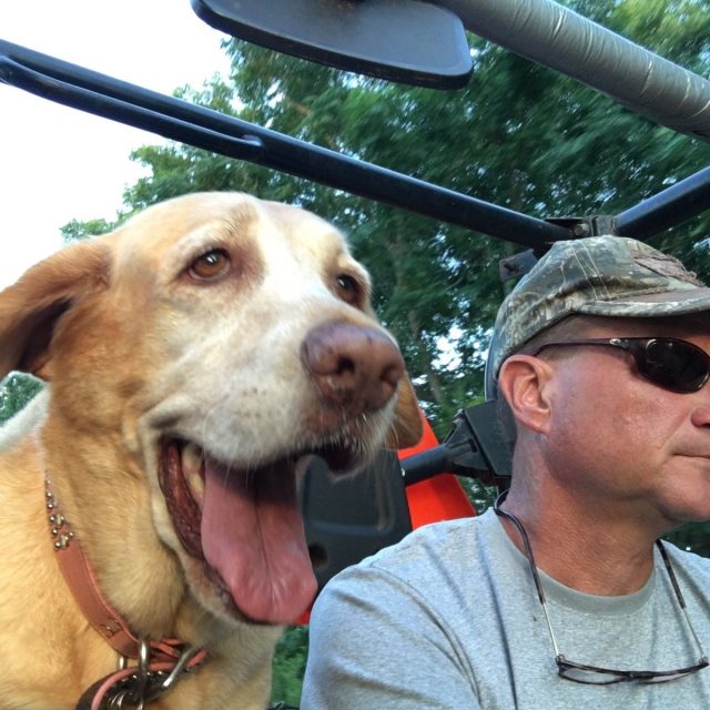 Happy Dog!