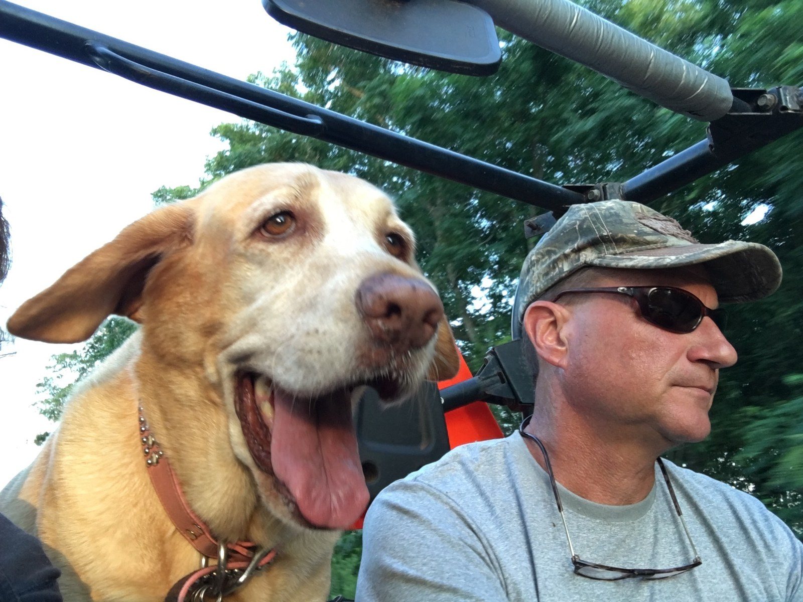 Happy Dog!