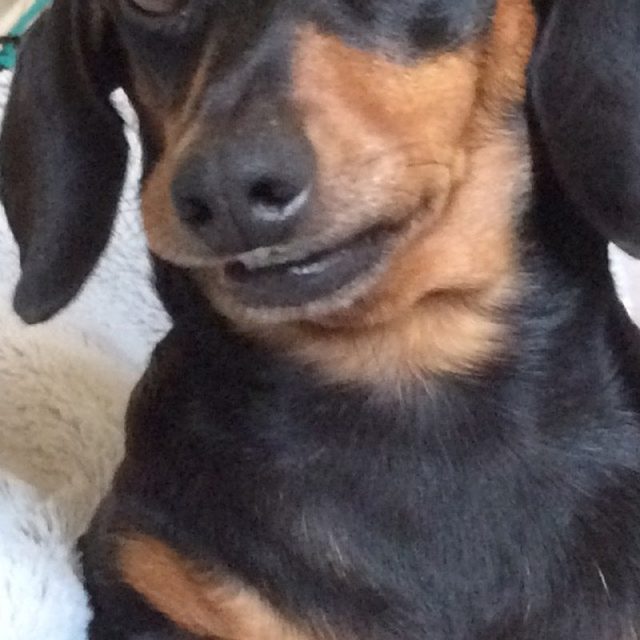 Smiling Audrey