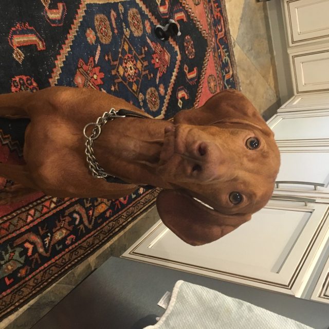May I Have A Bite??