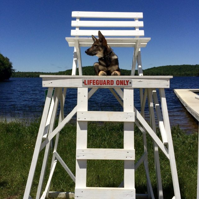 Lifeguard On Duty