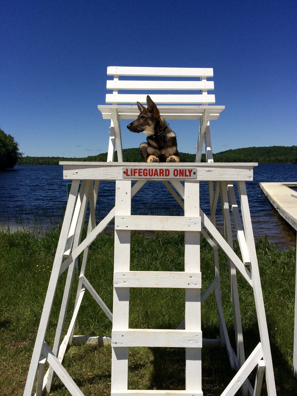 Lifeguard On Duty