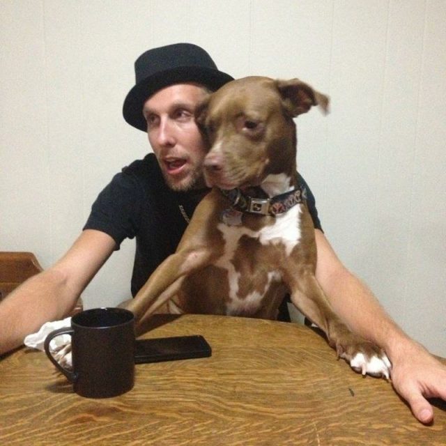 Owner And His Pit