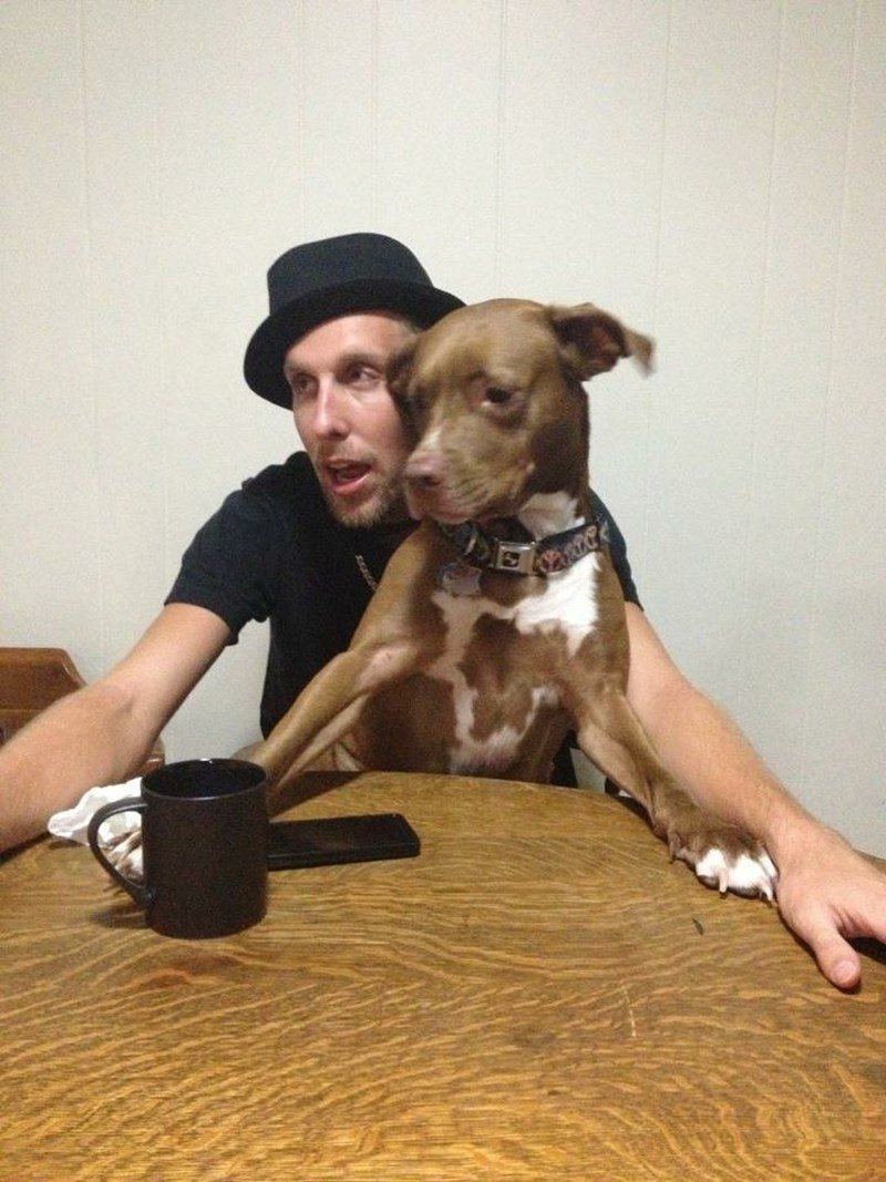 Owner And His Pit