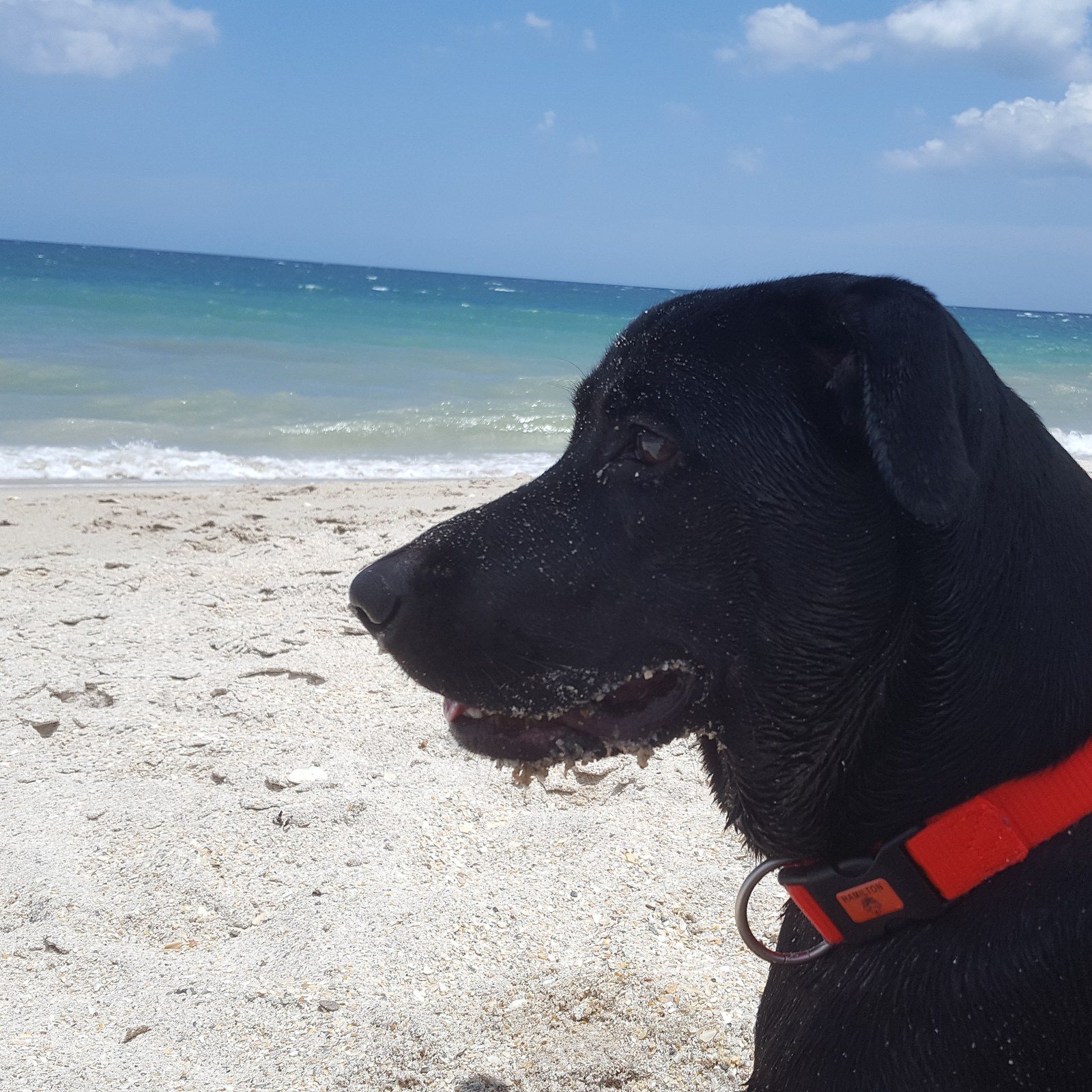 Layla, Soaking Up Summer!