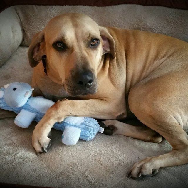 Snuggling My Blue Baby!
