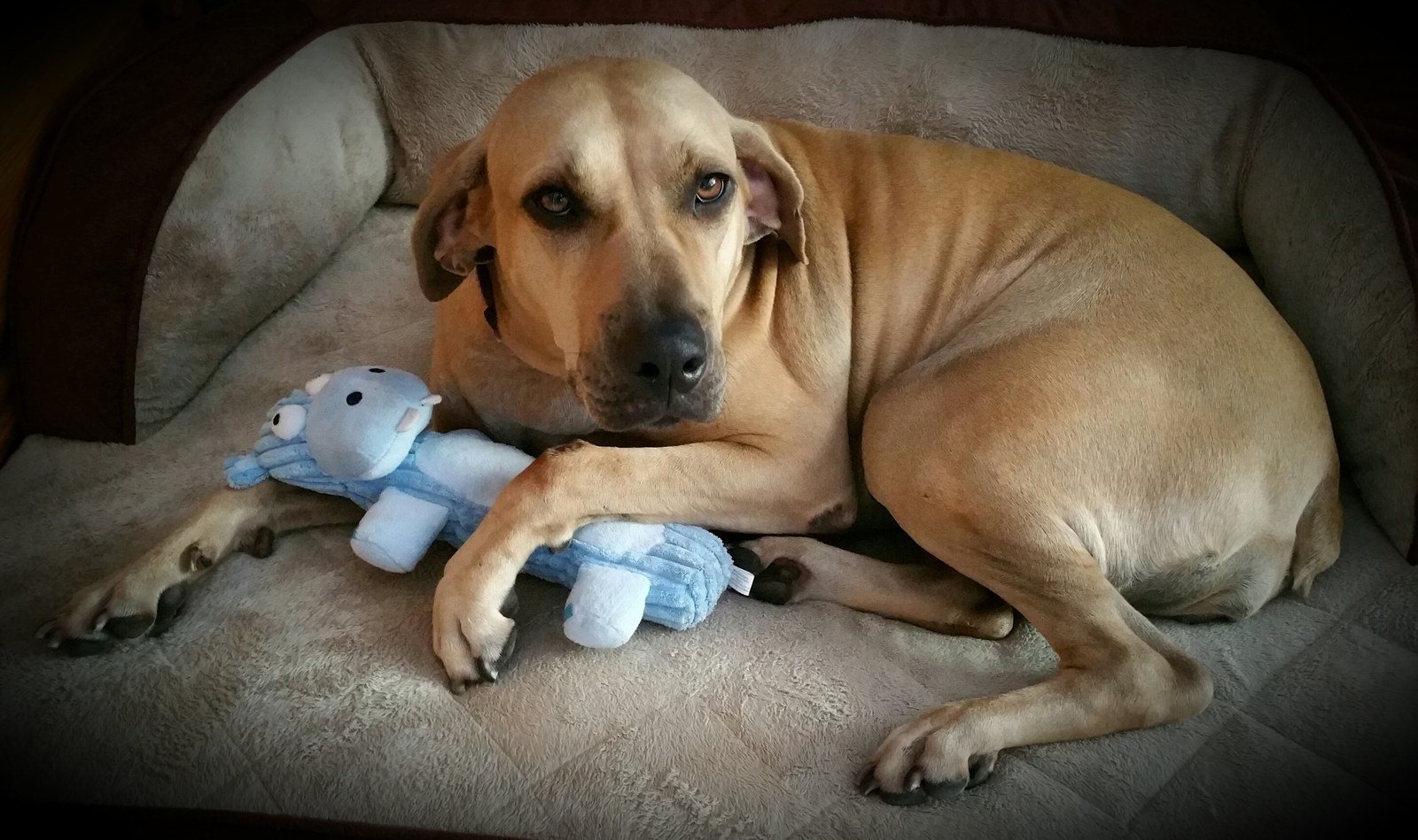 Snuggling My Blue Baby!