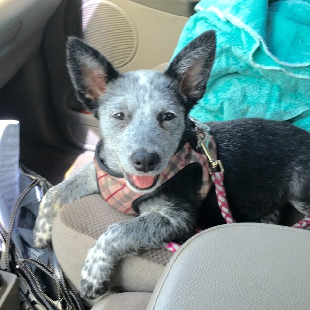 Heading To Work !