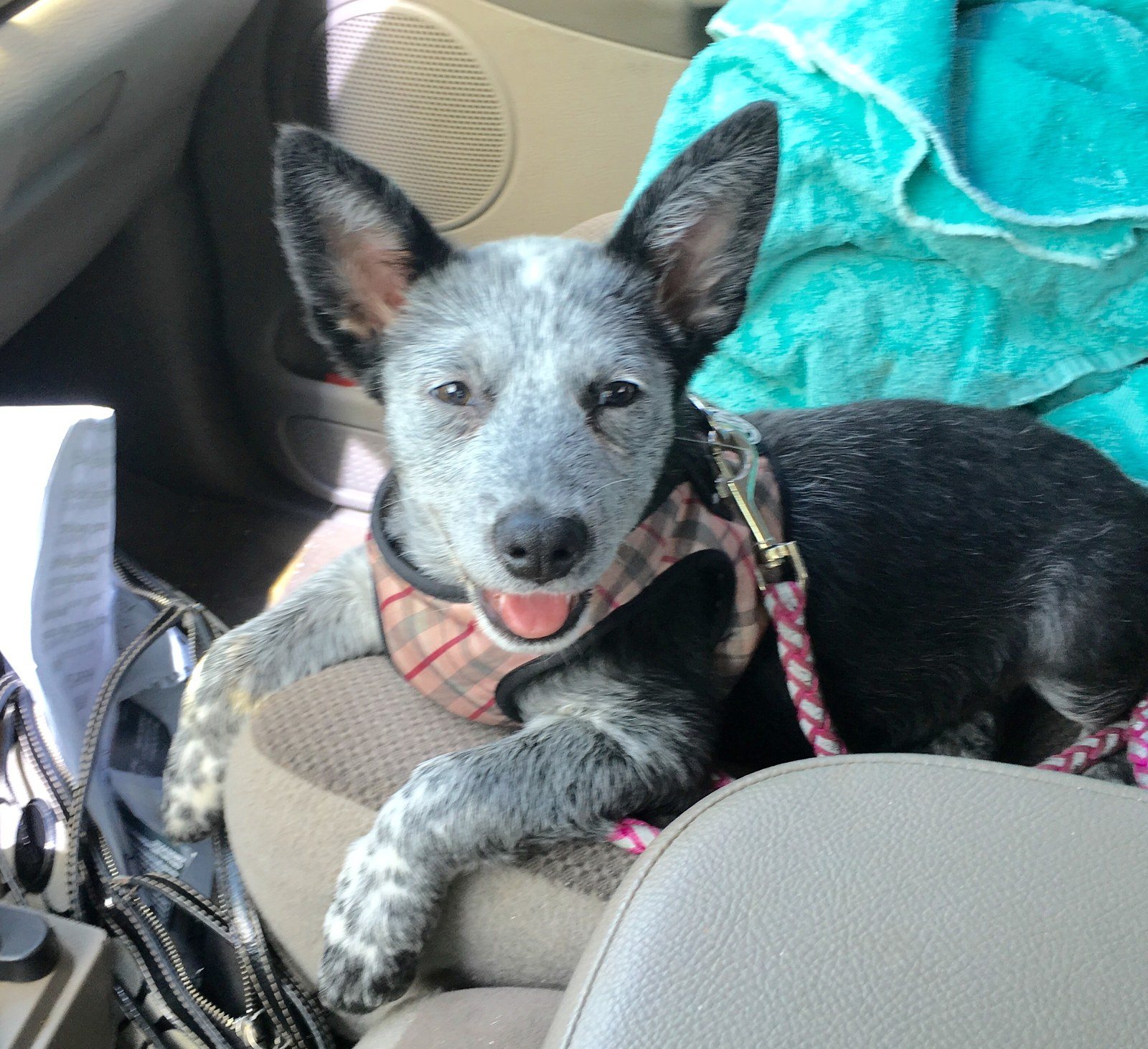 Heading To Work !