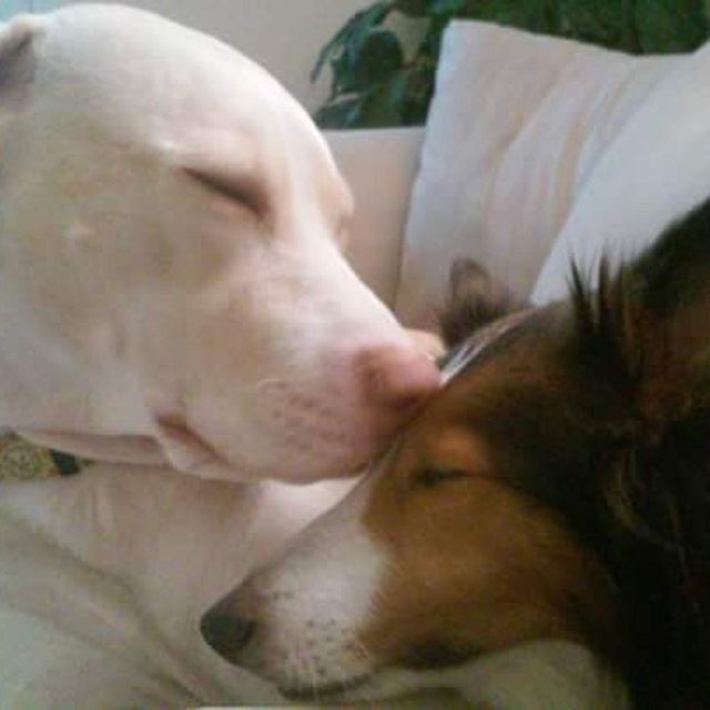 Sisterly Love