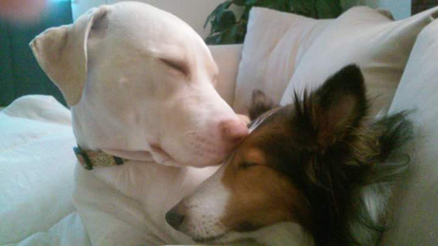 Sisterly Love