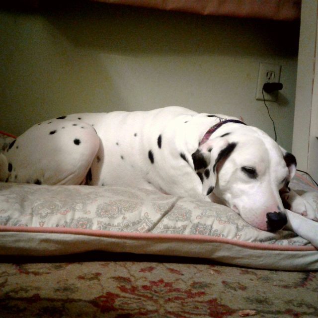 Beauty Sleep Is A Priority