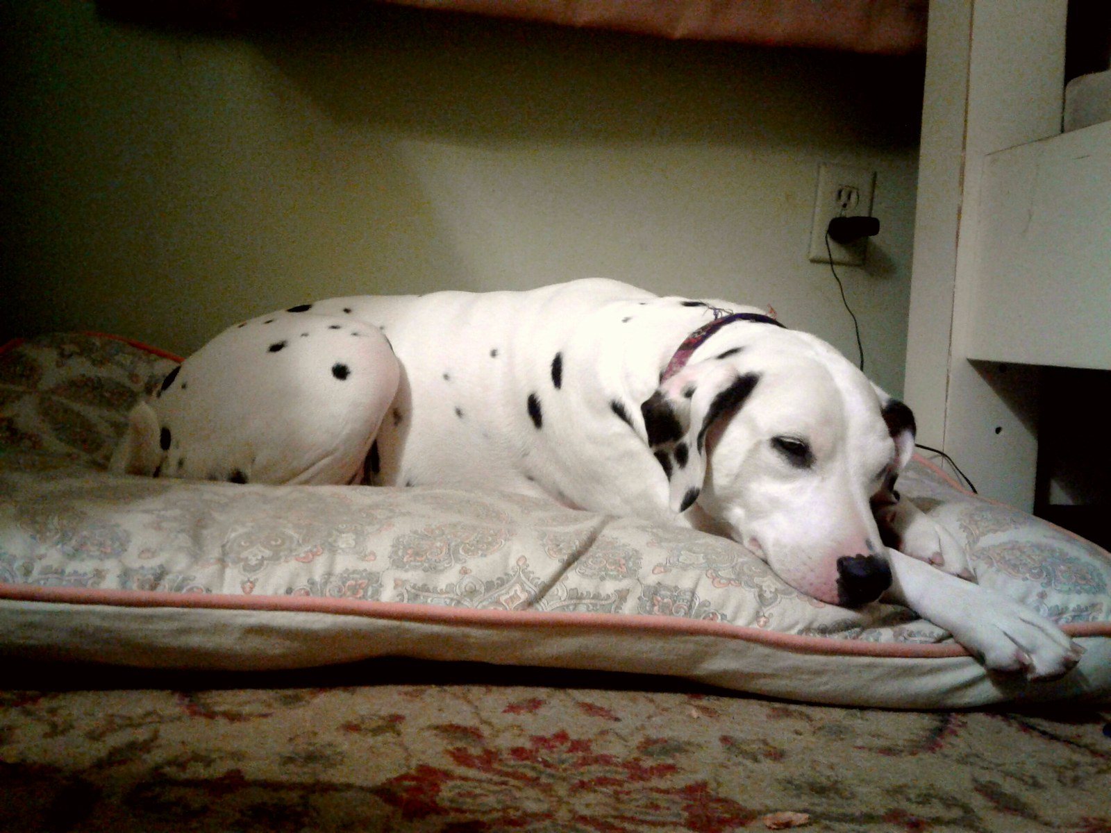 Beauty Sleep Is A Priority