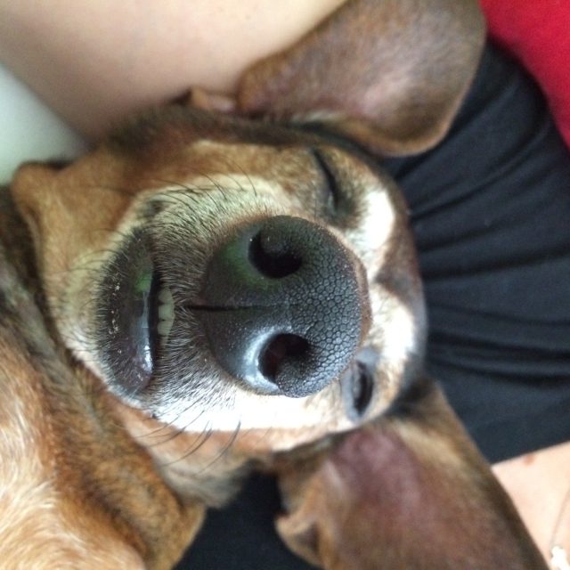 Ready For My Close Up!