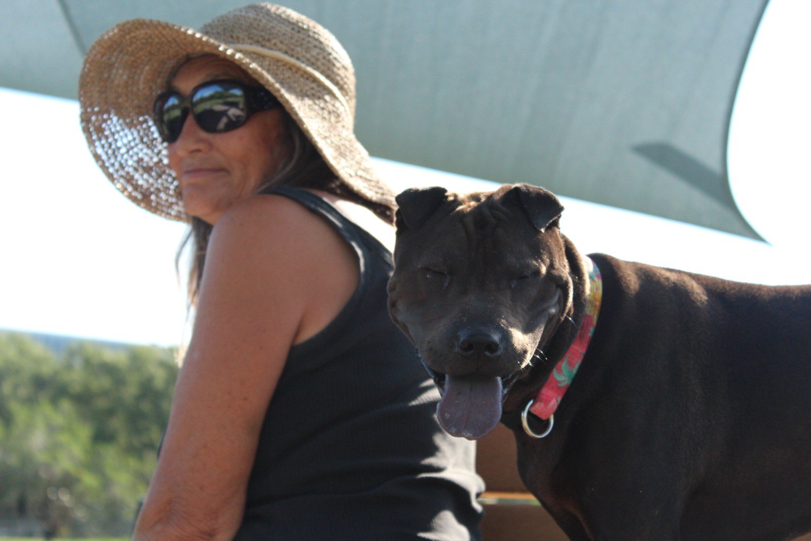 Kona And Mamma