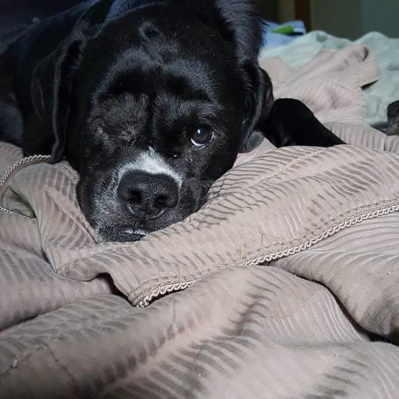 Just Stay In Bed 5 More Minutes