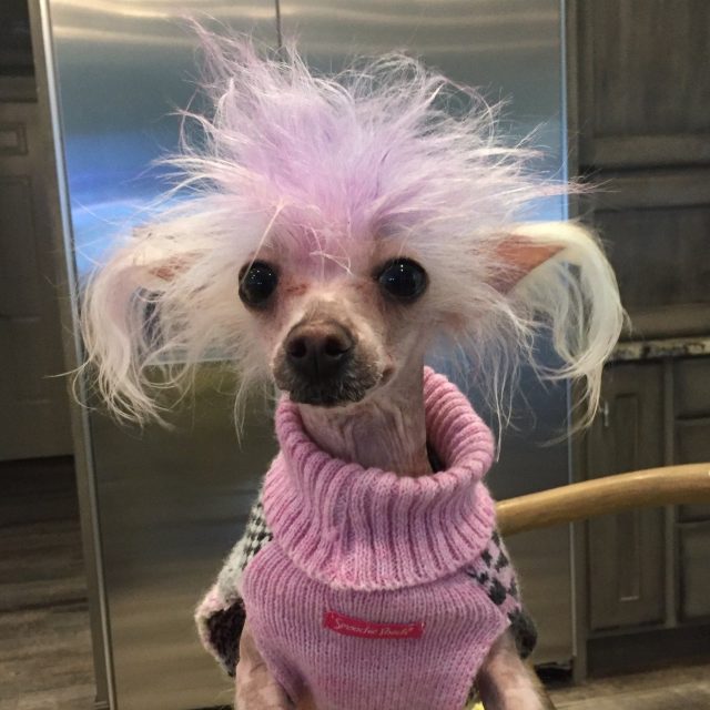 My Little LuLu