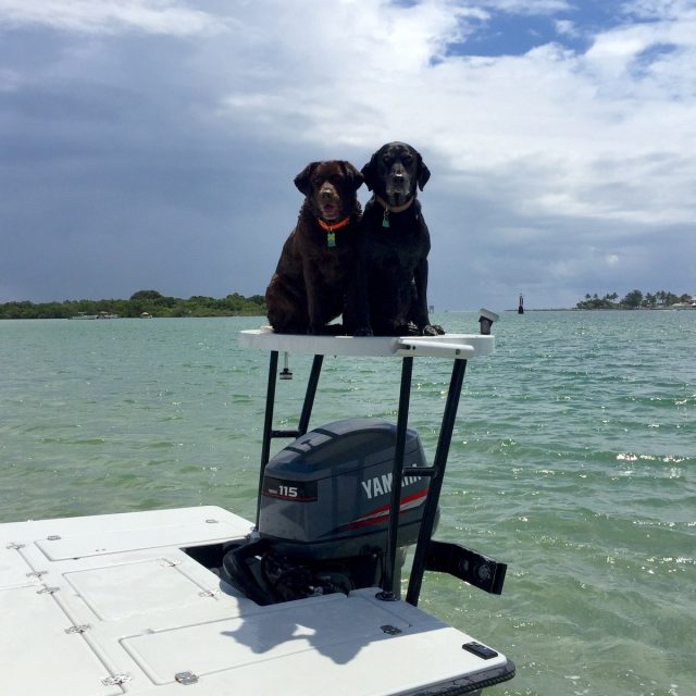 Just Another Day On The Boat