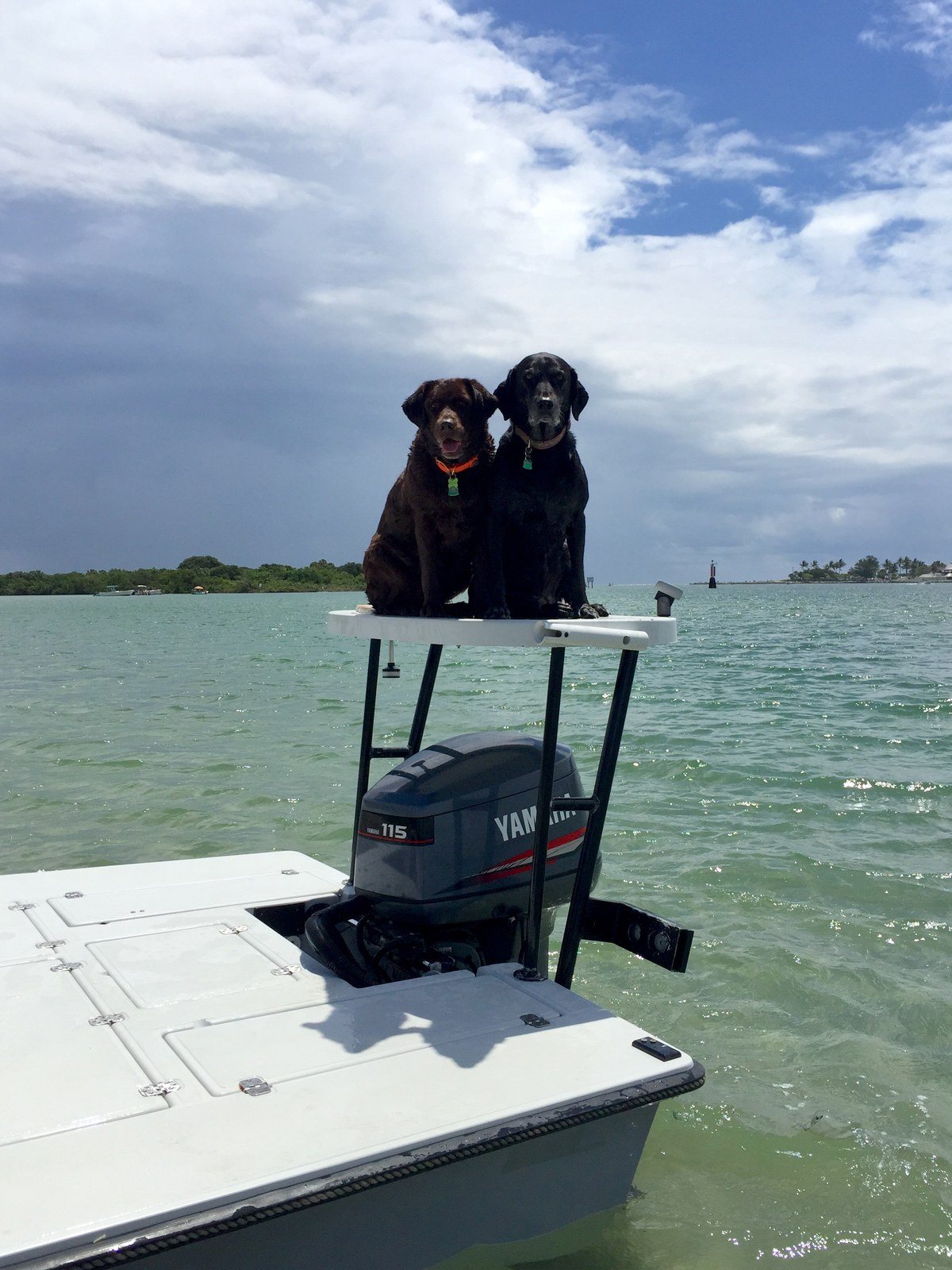 Just Another Day On The Boat