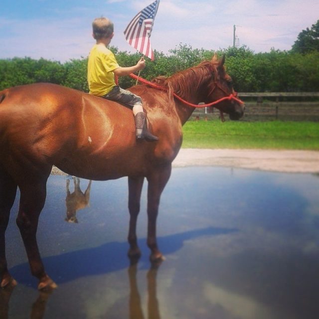 American Dreamer