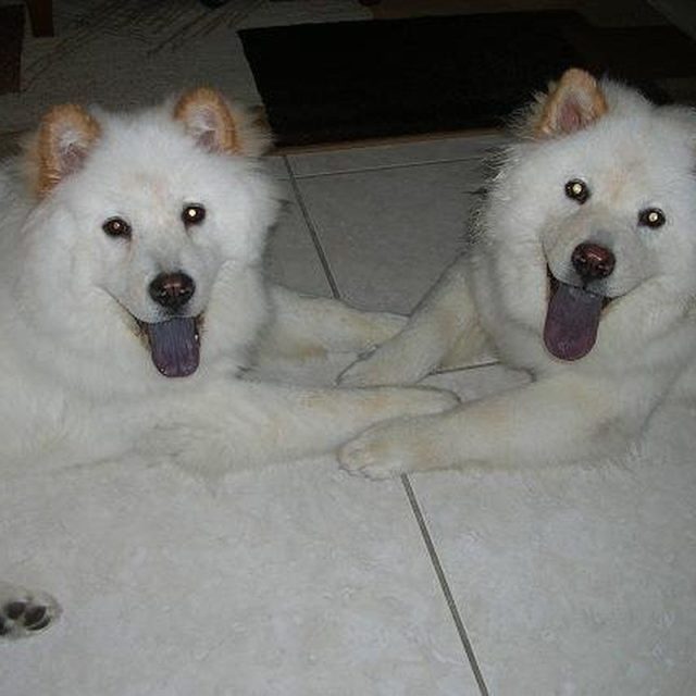 Sadie & Leola - Fur Sista's
