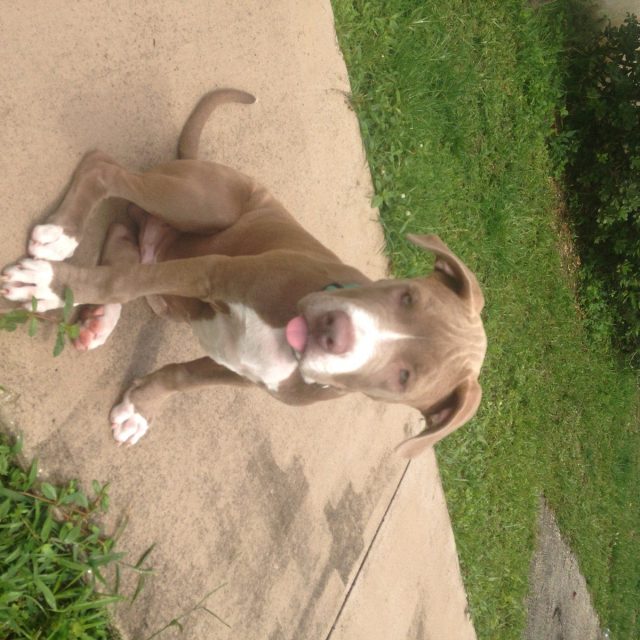 Silly Face