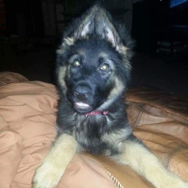 Yep I Know Im Cute