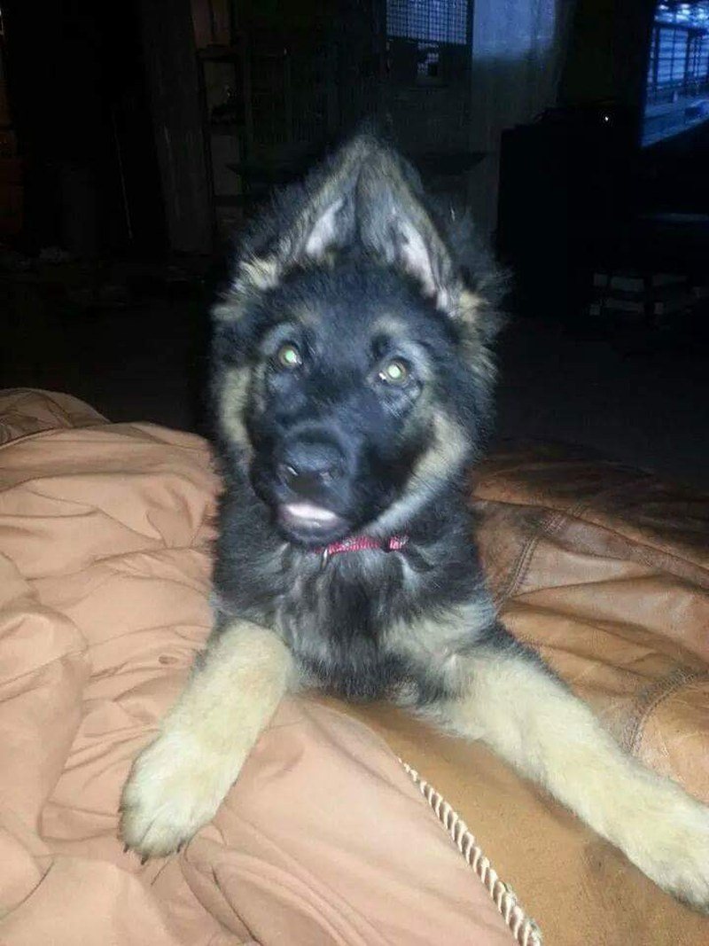 Yep I Know Im Cute