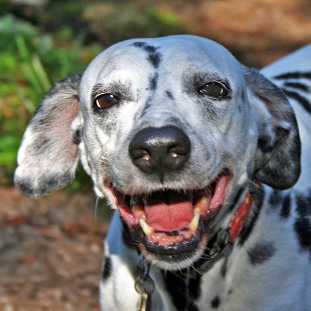 Mimi's 12 Yo Smilin'