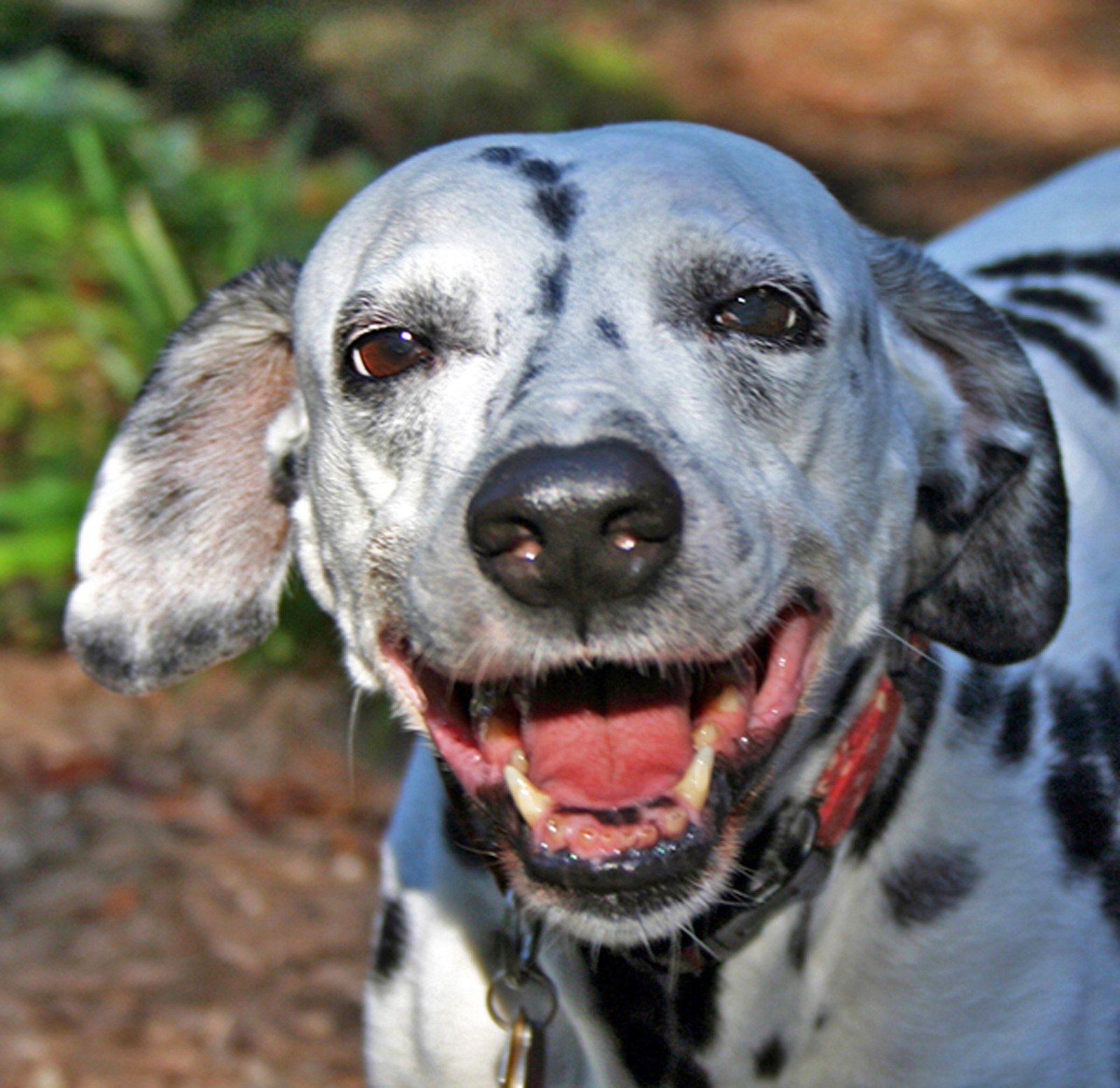 Mimi's 12 Yo Smilin'