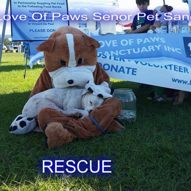 Rescue