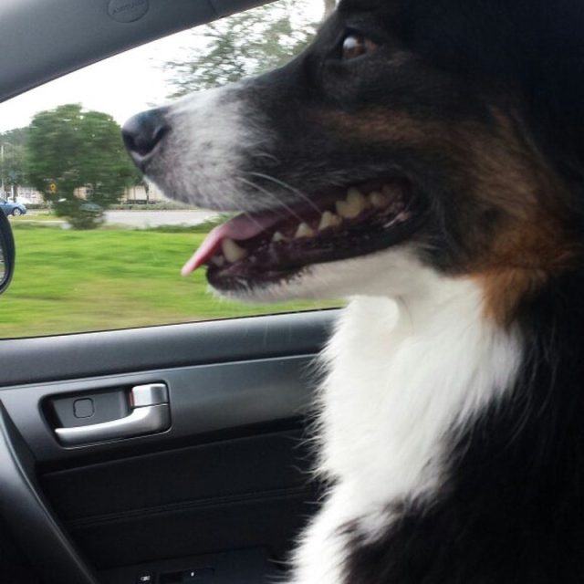 Just Driving Around