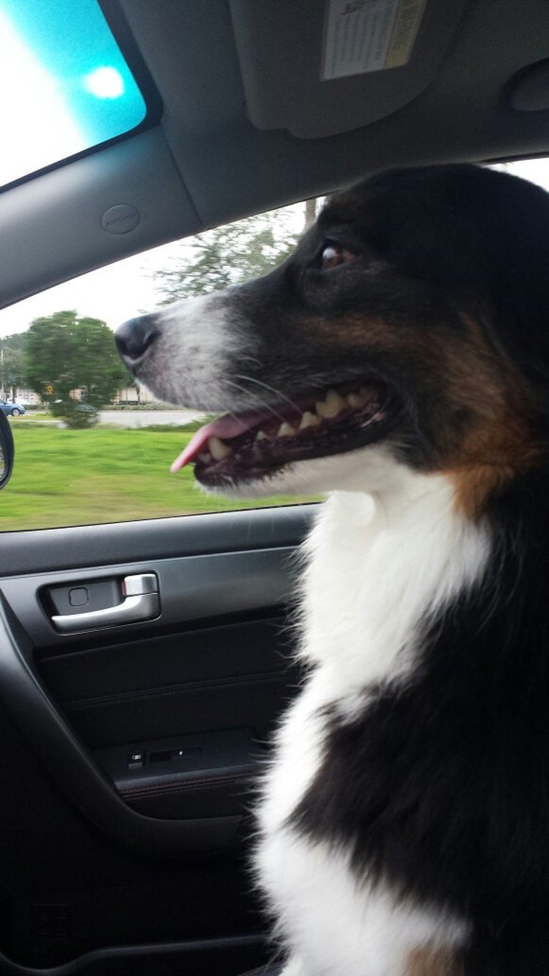 Just Driving Around