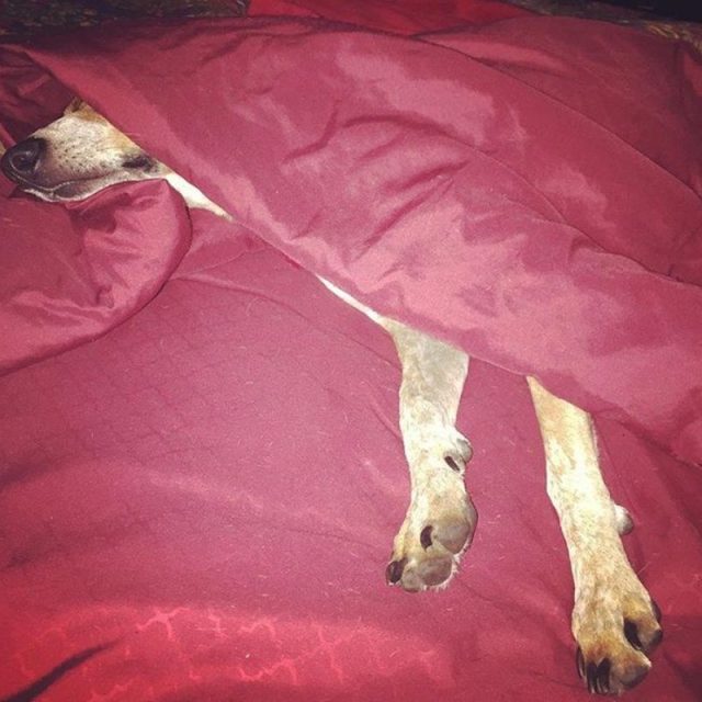 Nap Time