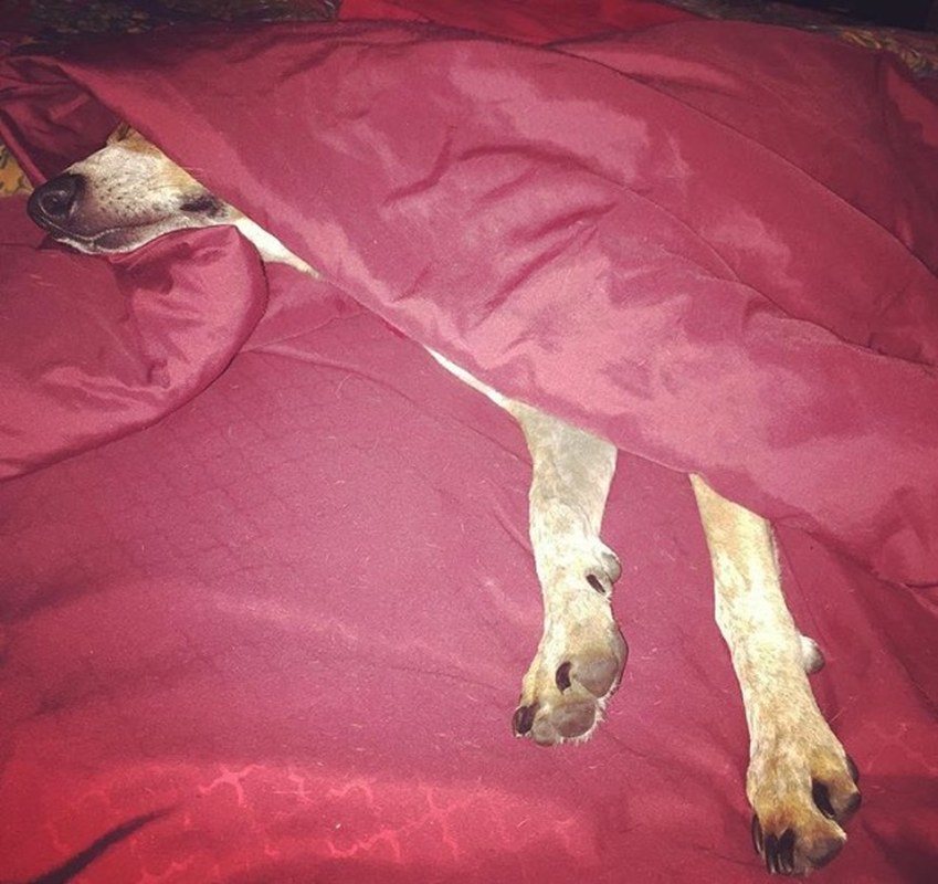 Nap Time