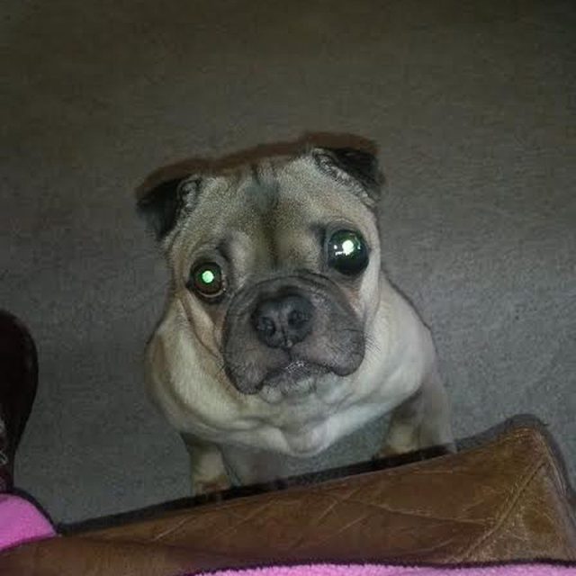 Wally