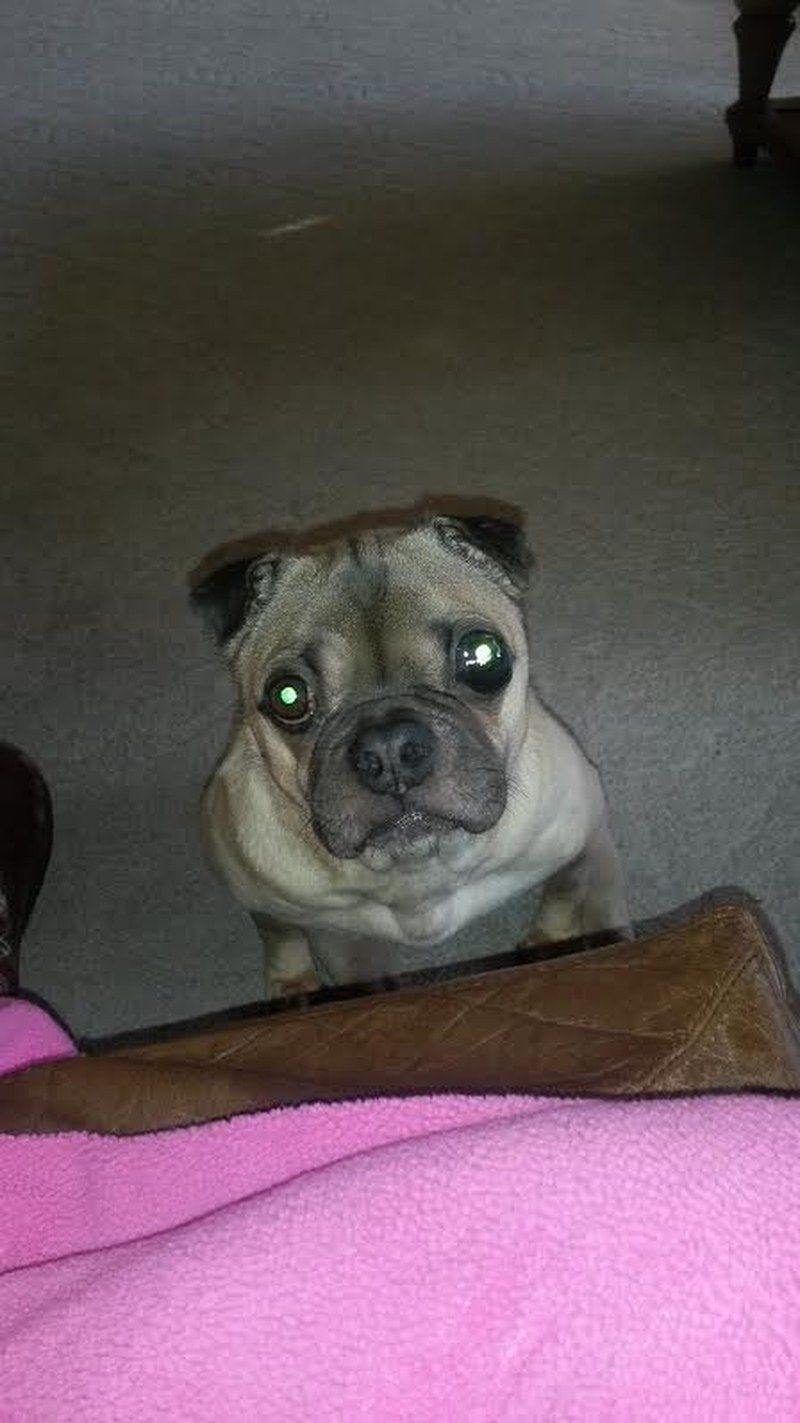 Wally