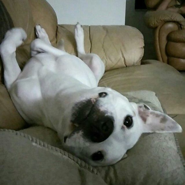 Is It Snuggle Time?