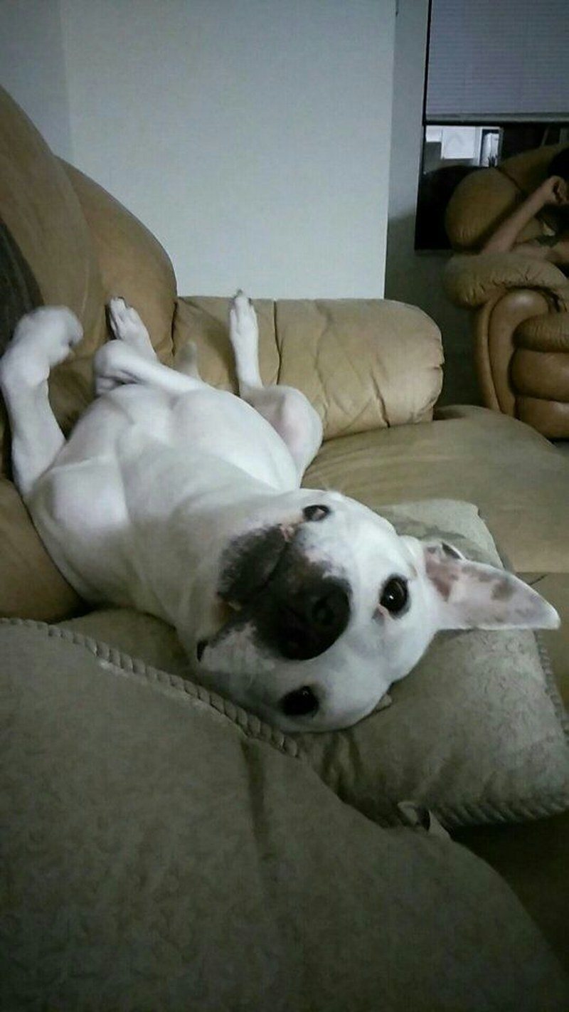 Is It Snuggle Time?